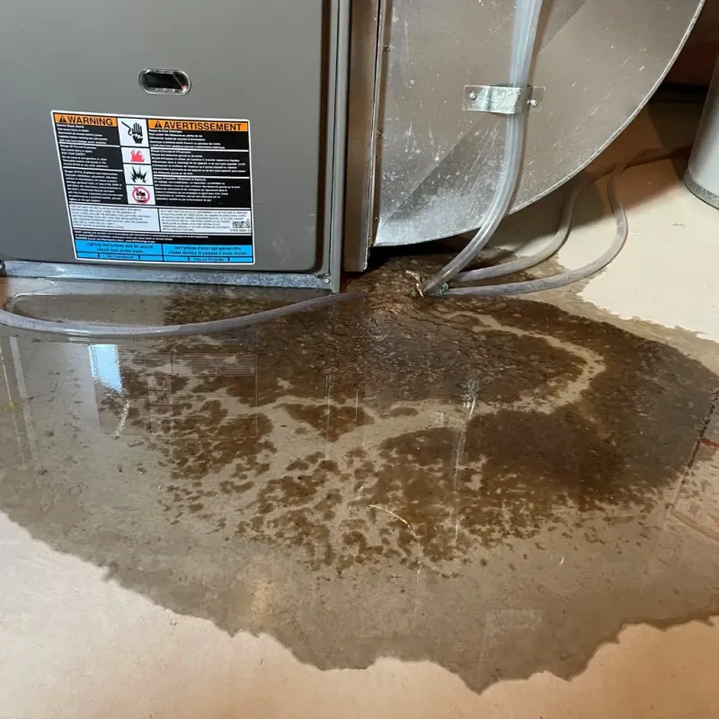 Appliance Leak Cleanup in Spooner, WI